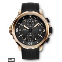 Copie montre IWC Aquatimer Chronographe Edition "Expédition Charles Darwin" IW379503