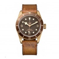 Réplique Tudor Heritage Automatique Homme Bronze 79250BM-BRBRLS